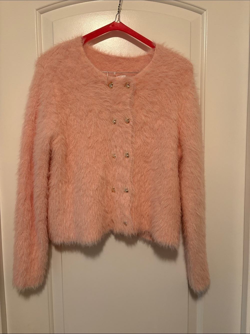 Cozy Faux-Fur Teddy Jacket in Blush Pink